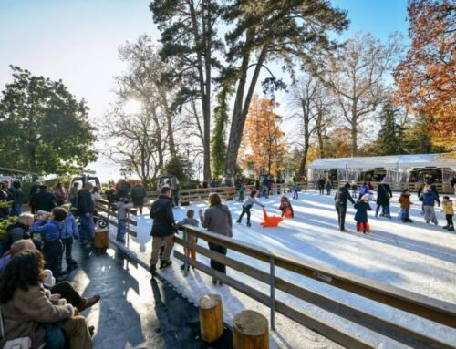 Natale in Piazza 2025